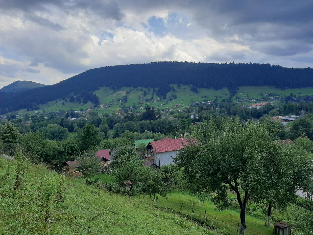 Pid Lisochkom Верховина Экстерьер фото